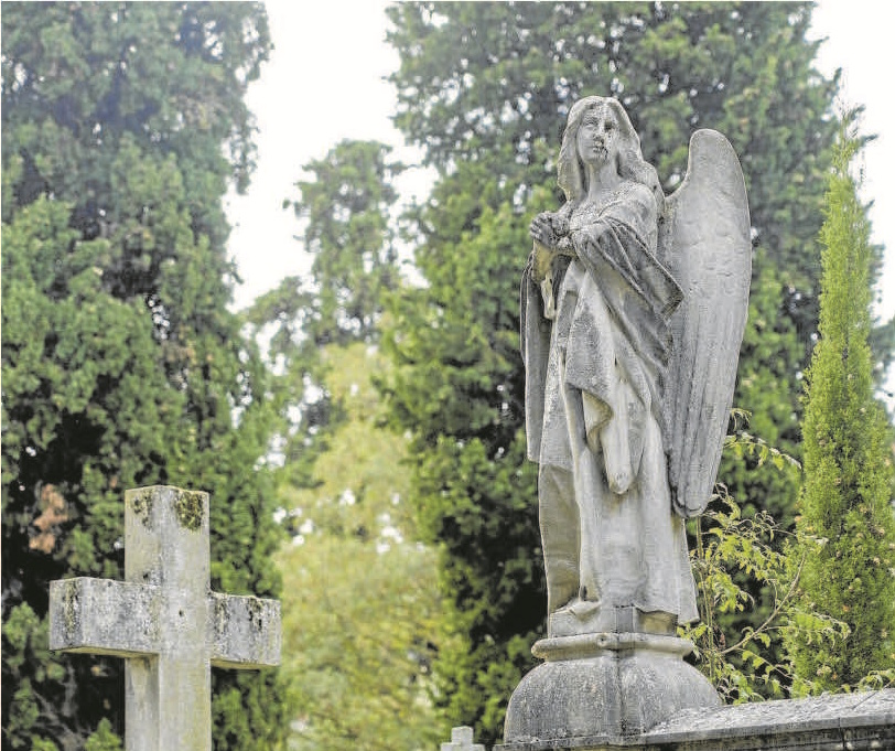 Me tiré dos días en un cementerio de Vitoria para hacer un seguimiento-Diario de noticias de Álava